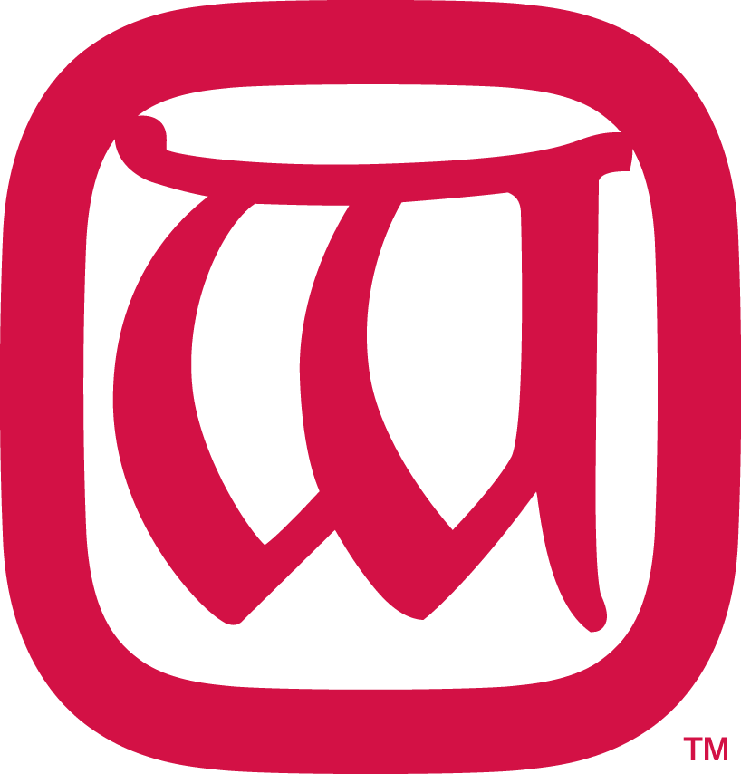 Wisconsin Badgers 1913-1925 Primary Logo DIY iron on transfer (heat transfer)